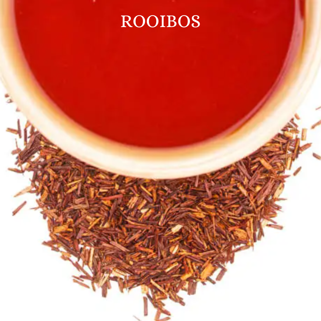 Rooibos